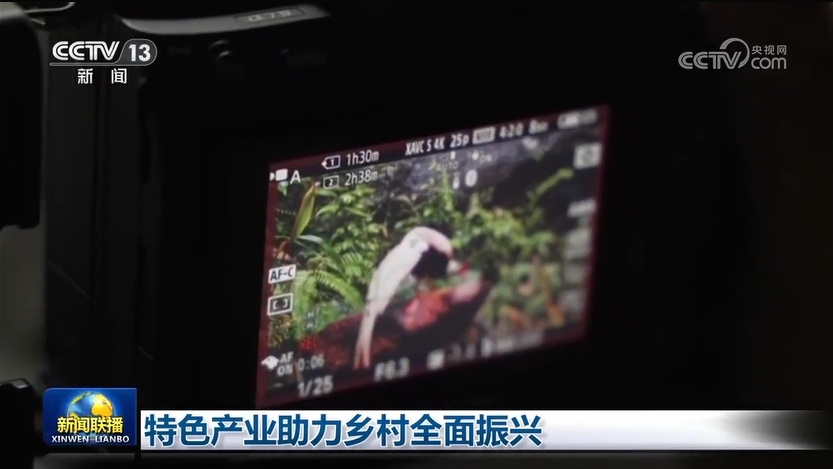 安博体育网站：特色产业助力乡村全面振兴(图2)