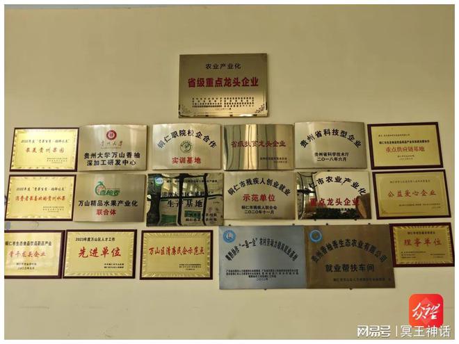 安博体育：铜仁万山：农产品精深加工“链”出增值增效好“钱”景(图6)