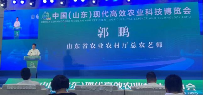 聚焦科技前沿引领产业发展2024中国（山东）现代高效农业科技博览会成功举办(图2)