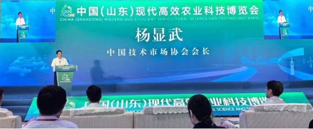 聚焦科技前沿引领产业发展2024中国（山东）现代高效农业科技博览会成功举办(图3)