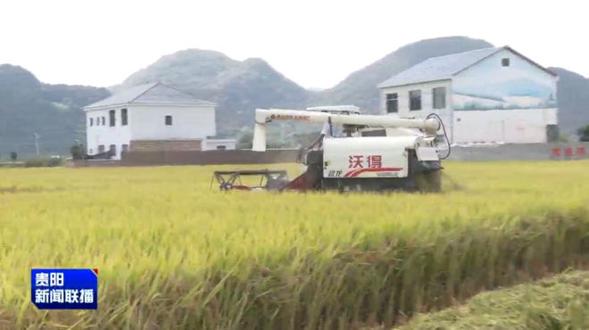 推动强省会·改革再出发｜贵阳贵安：深化改革赋能乡村振兴引领农业农村现代化新篇章(图6)