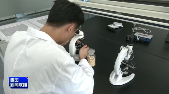 贵阳贵安：深化改革赋能乡村振兴引领农业农村现代化新篇章(图2)