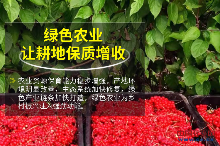 【2023“三农”成绩单】智慧农业“科技范儿”走出绿色致富路(图2)
