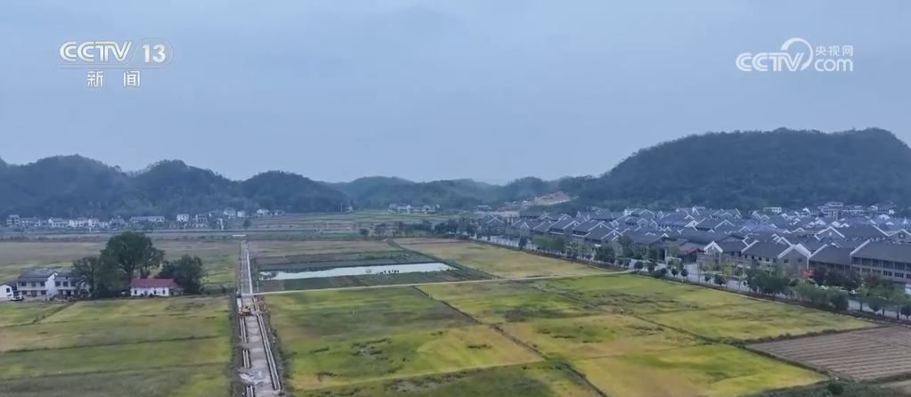 从育种到收割科技无处不在“大国粮仓”装满科技“密码”(图5)