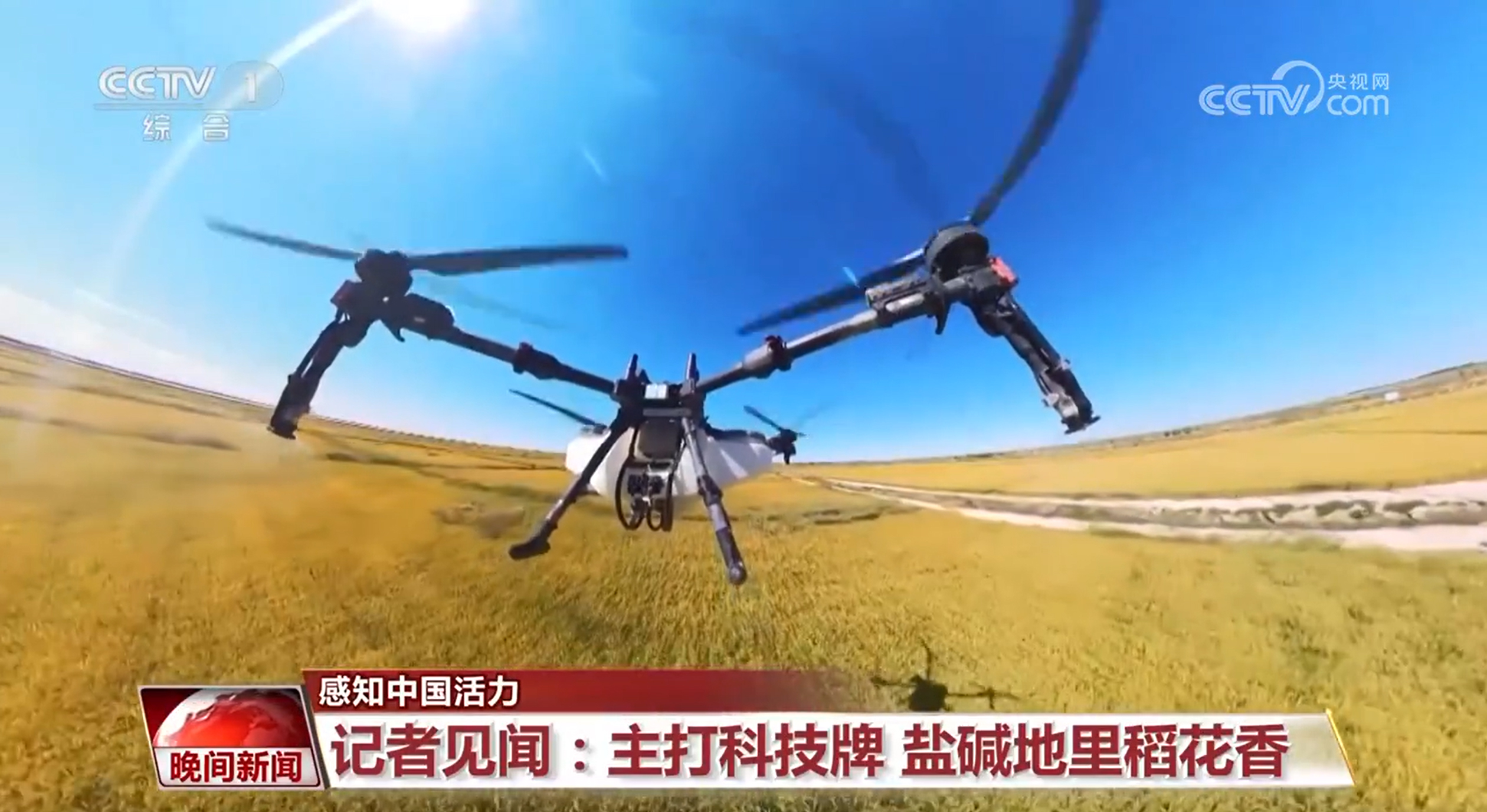 主打“科技牌”盐碱地里稻花香智慧农场里满满都是科技范儿(图2)