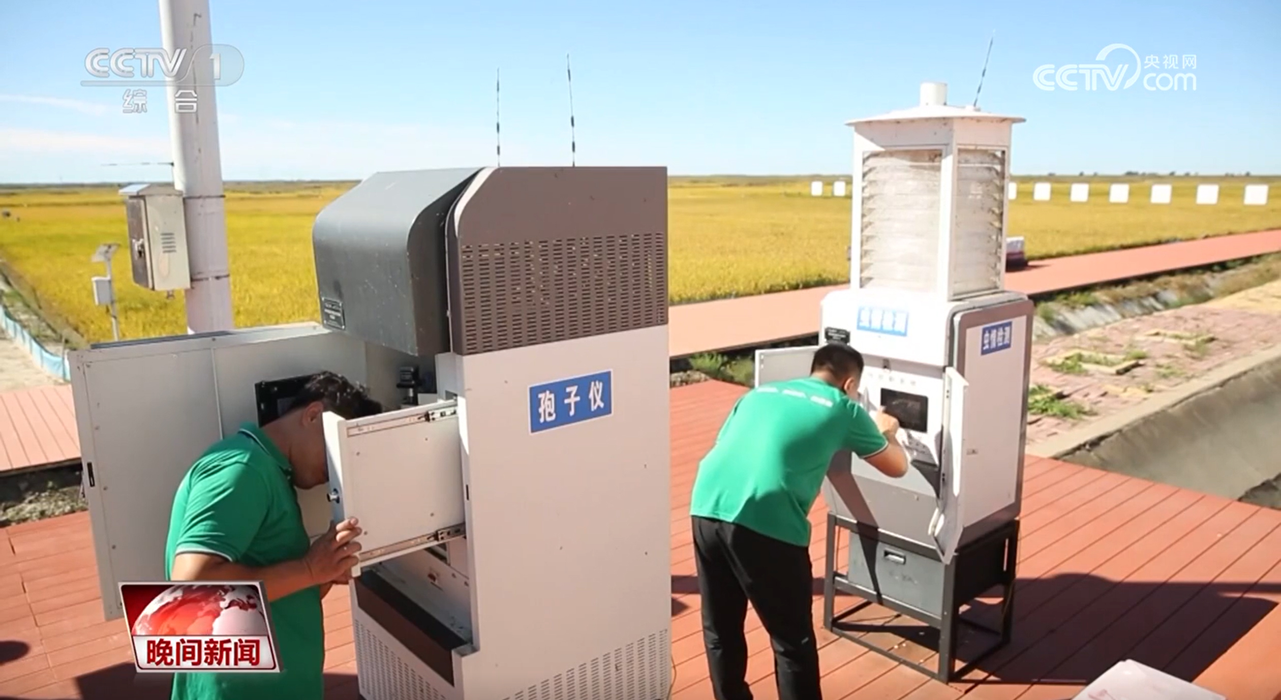 主打“科技牌”盐碱地里稻花香智慧农场里满满都是科技范儿(图3)