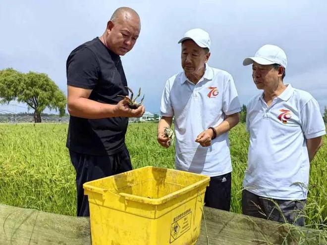 辉煌70年·行走伊犁河丨一滴水里的先行力！伊犁高效节水农业滋养绿洲造福百姓(图2)