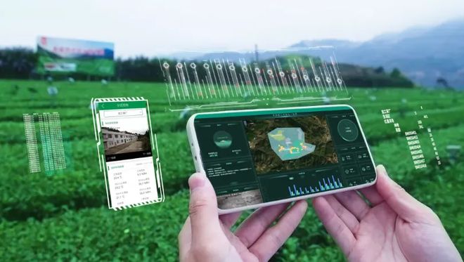 智慧农业迎来新动向！论茶园的发展之路(图6)