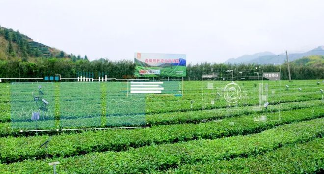 智慧农业迎来新动向！论茶园的发展之路(图11)