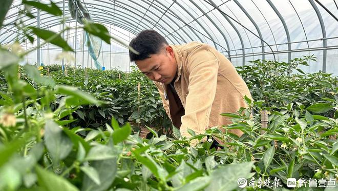 枣庄：以全新高质量发展之势向涛头立(图9)