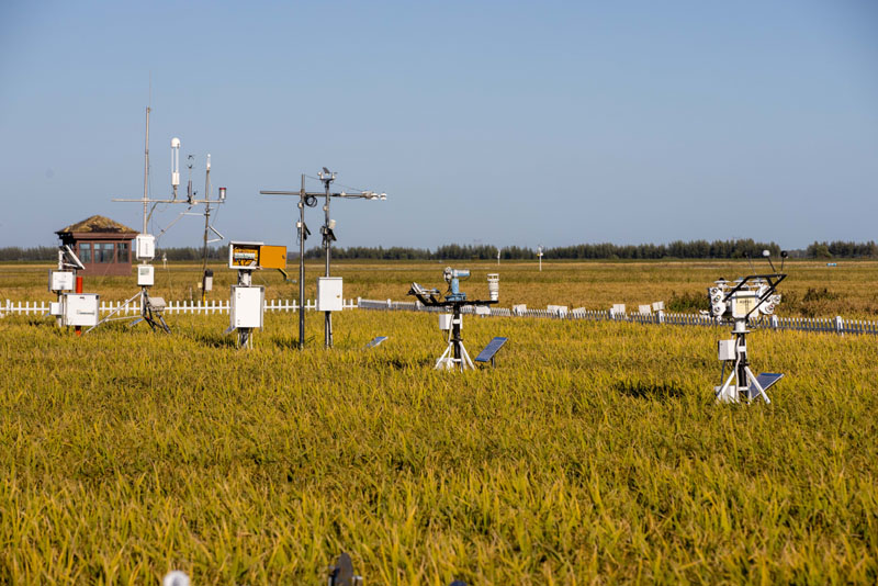 安博体育平台:智慧农业助力稻海扬帆(图2)