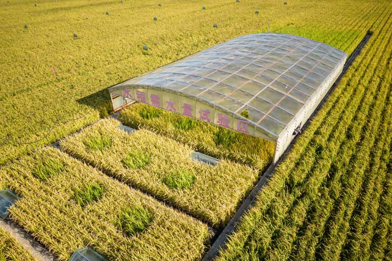 安博体育平台:智慧农业助力稻海扬帆(图3)