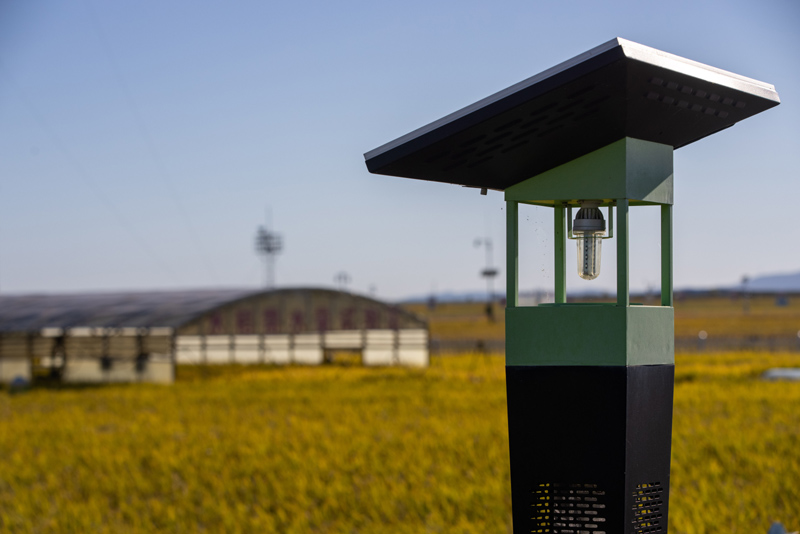 安博体育平台:智慧农业助力稻海扬帆(图6)