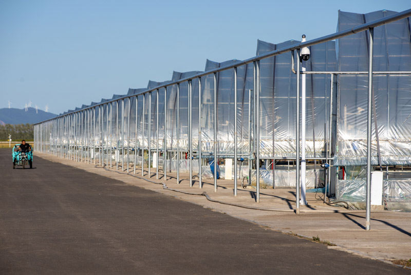 安博体育平台:智慧农业助力稻海扬帆(图7)