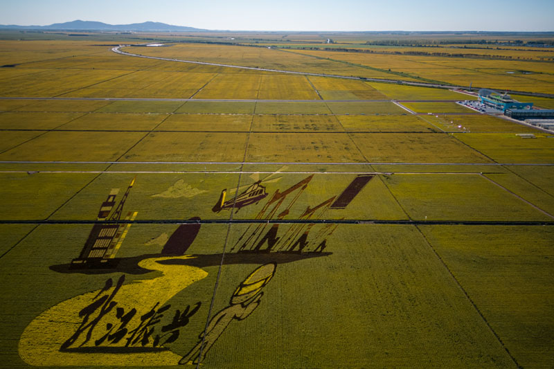安博体育平台:智慧农业助力稻海扬帆(图8)