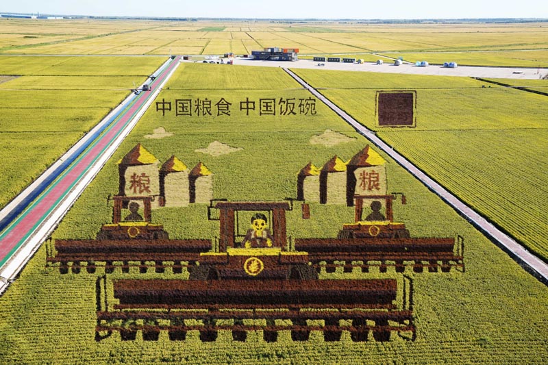 安博体育平台:智慧农业助力稻海扬帆(图9)