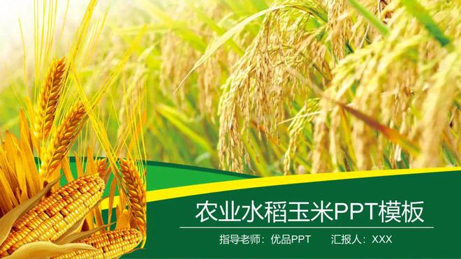 5套精美智慧农业主题PPT模板建设新农村发展现代农业招商引资(图2)