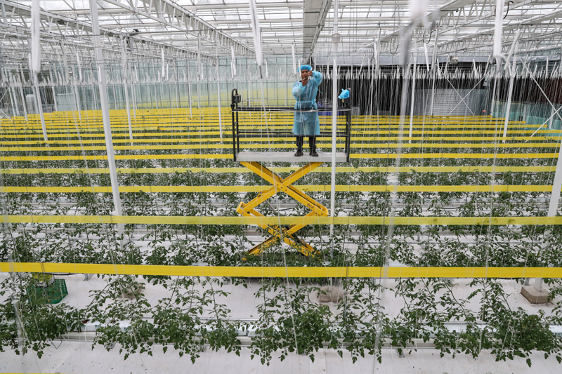 江苏南通：智慧设备助力农业生产(图4)