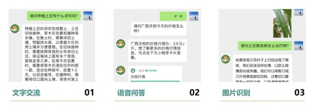 如何用AI帮助农产品走出去？2024年一亩田智慧农业的新探索(图4)
