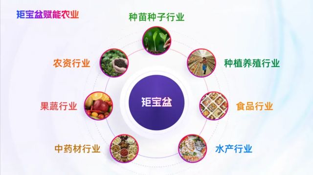 如何用AI帮助农产品走出去？2024年一亩田智慧农业的新探索(图6)