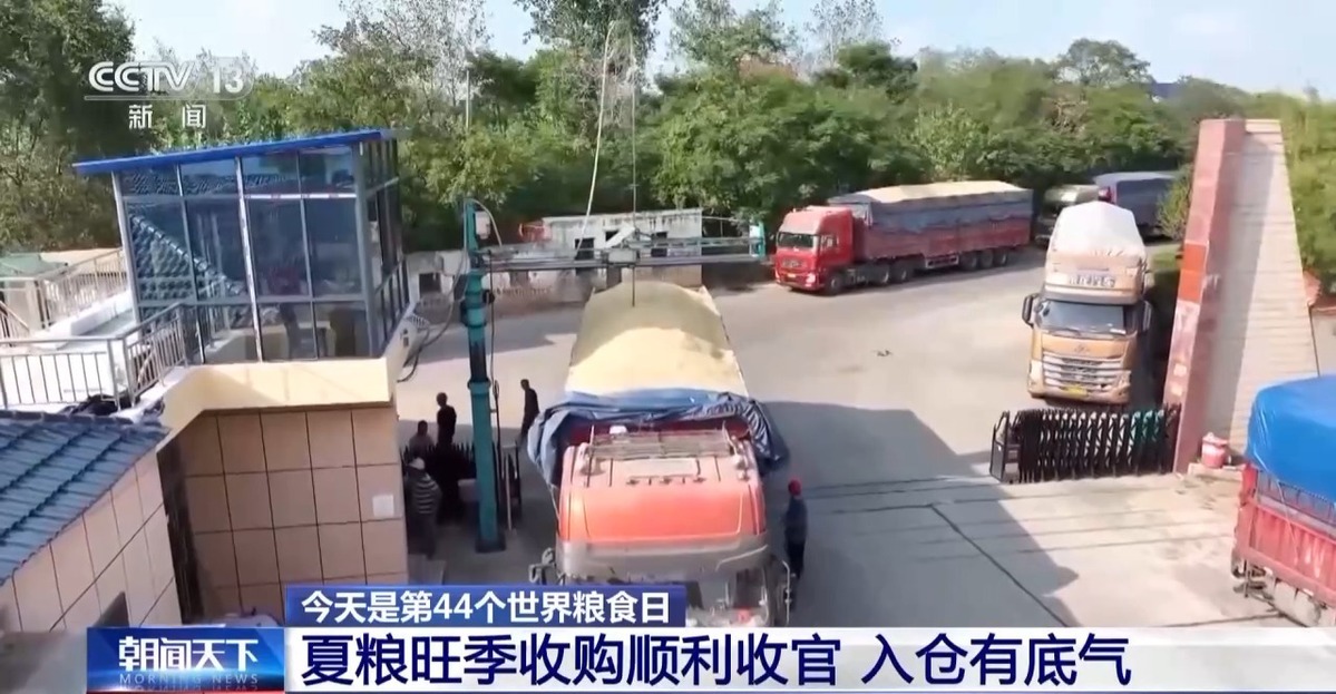 科技新农人携手种地“老把式” 端稳“中国饭碗”(图1)