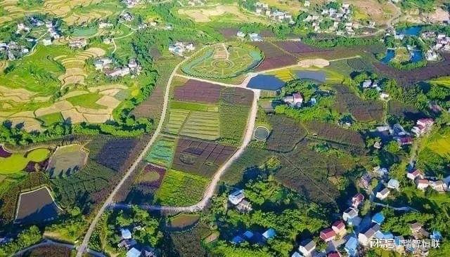探索中国智慧农业：传感器技术引领现代农业转型之路(图1)