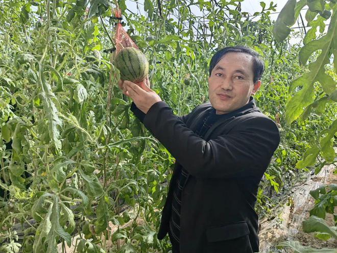 安博体育：回眸2024榆林：农业产业蓬勃发展奏响乡村振兴强音(图1)