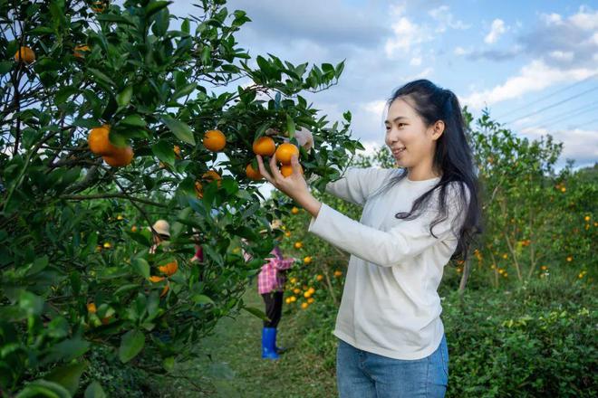 安博体育：陈慧：走好科技赋能现代生态农业高质量发展之路(图8)