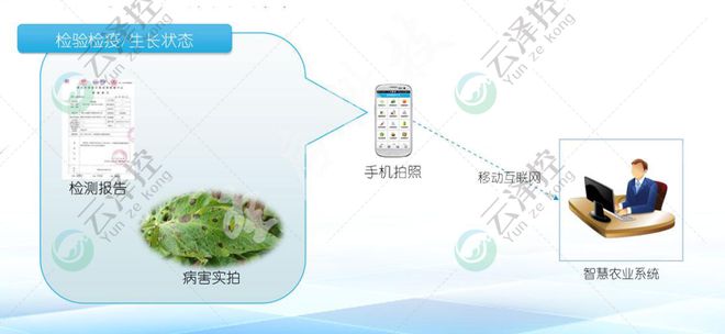 智慧农业——数据的采集(图2)