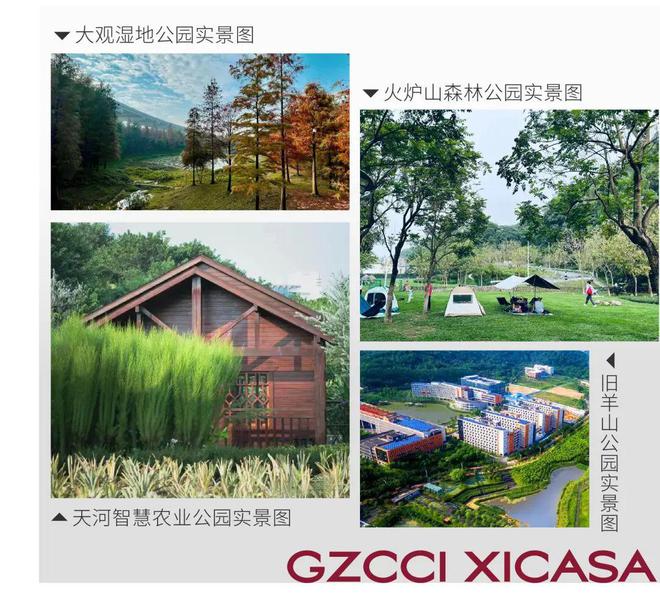 广州城投天禧售楼处-广州城投天禧2025网站欢迎您-房天下(图9)