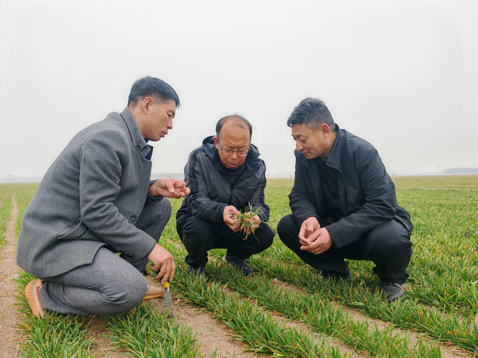 河北望都：智慧农业助力春耕春管(图2)