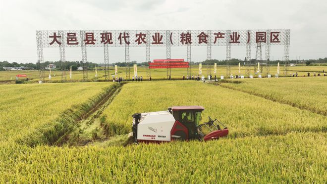 成都新活力：田园绘盛景农业谱新篇(图3)