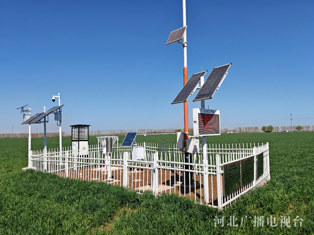 河北：农业AI大模型为春耕注入数智新动能(图3)
