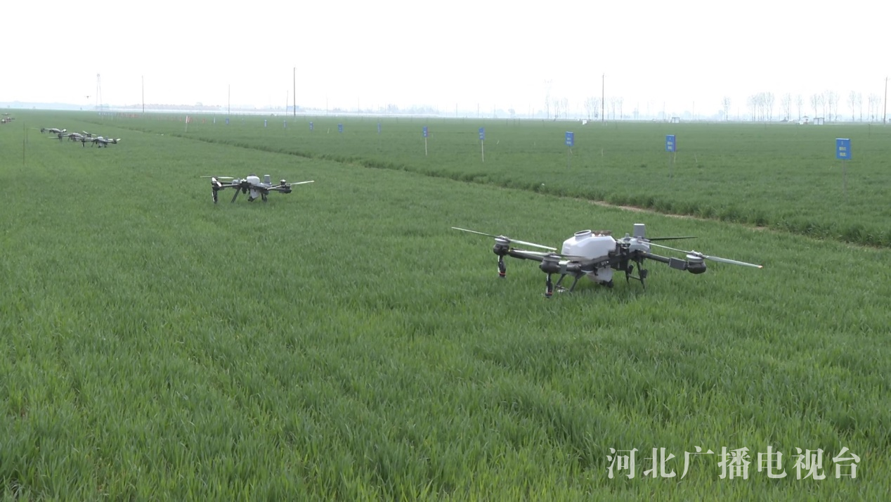 河北：农业AI大模型为春耕注入数智新动能(图5)