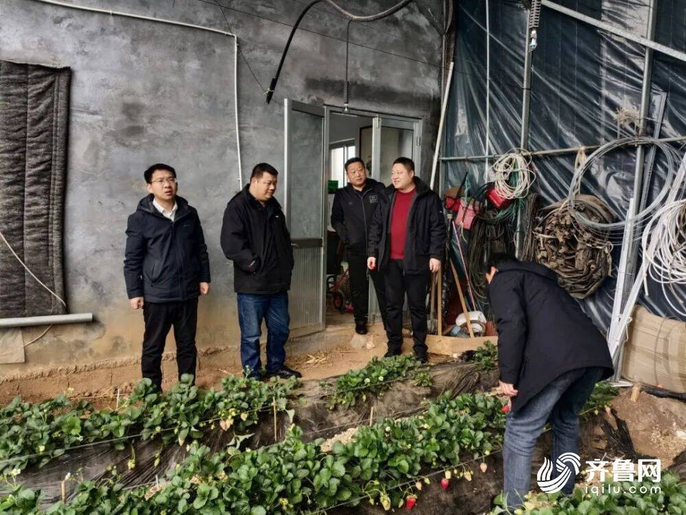 潍坊临朐：科技赋能智慧农业绘就生机盎然“春耕图”(图2)