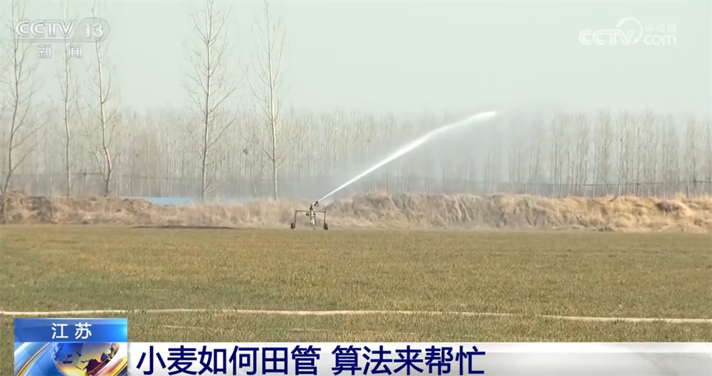 智慧农业为农业现代化插上“科技的翅膀”让科学种田从梦想照进现实(图6)