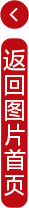 春天“丰”景(图10)