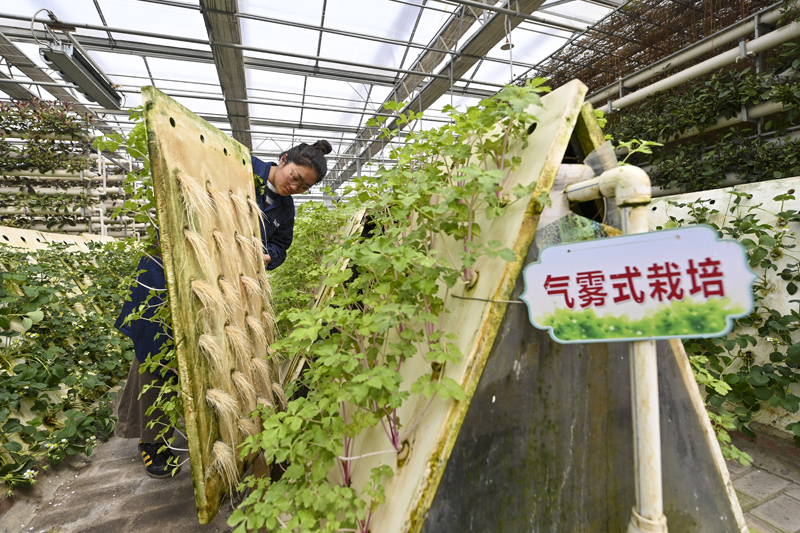 智慧农业助力增产增收(图2)