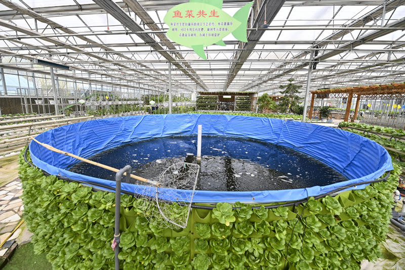 智慧农业助力增产增收(图3)
