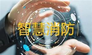 安博体育平台：2024年蔬菜加工行业的市场发展现状及发展趋势分析(图3)