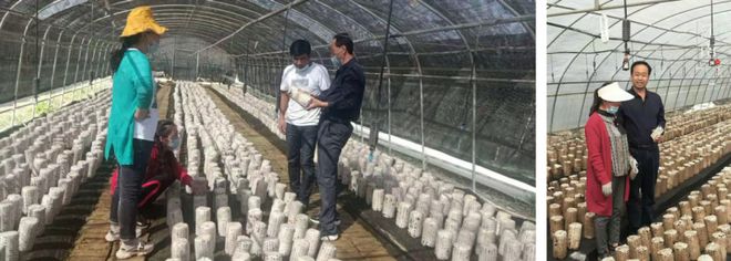 甘肃省鑫福君农业科技有限公司董事长刘锡福(图3)