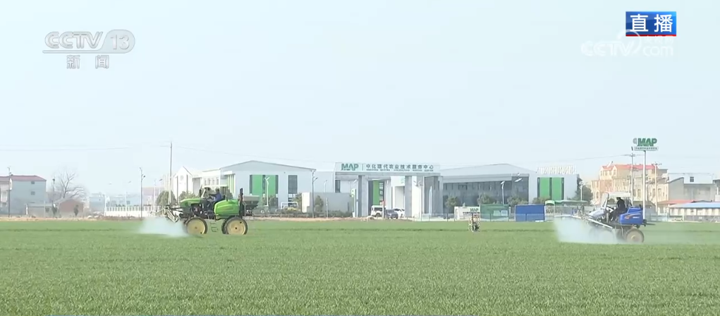 田间春管尽显“科技范儿”希望的田野绘就绿意盎然“春景图”(图4)