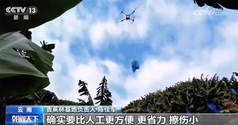 传统农业焕“新”“智”变喜看“三农”新图景中国经济展现蓬勃活力(图7)