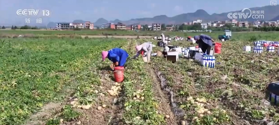 智慧农业撑起农户“钱袋子”农产品实现从“量”到“质”飞跃(图8)
