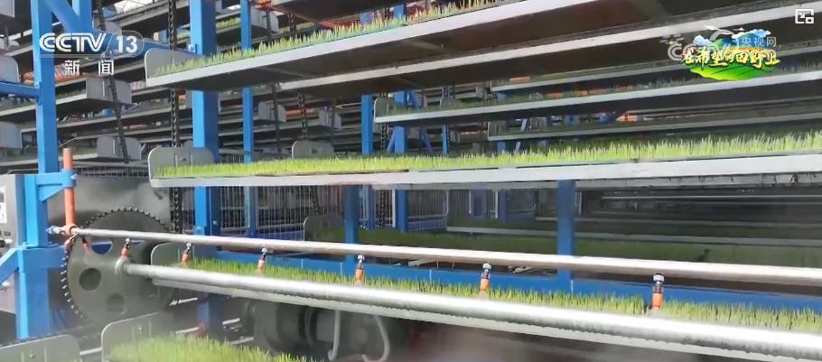 “电梯”育秧、智能喷灌……智慧农业绘就春耕新图景科技“护航”保丰收(图5)