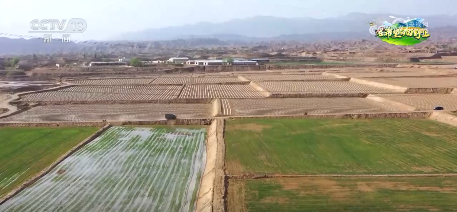 从“经验种田”到“数据种地”智慧农业为夏粮丰产丰收保驾护航(图7)