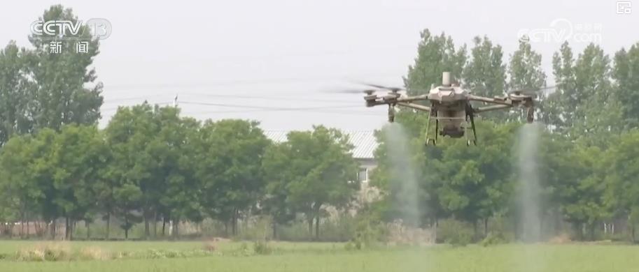 “智慧种地”提质增效助力夏粮丰产丰收科技赋能绘就现代农业新图景(图1)