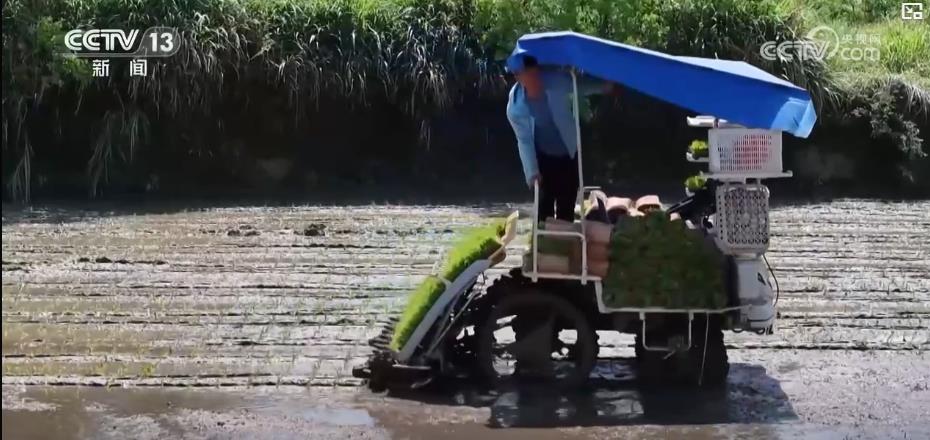 “智慧种地”提质增效助力夏粮丰产丰收科技赋能绘就现代农业新图景(图7)