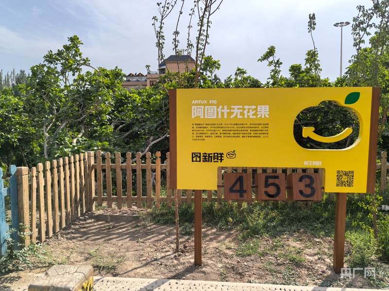 安博体育：高质量发展看中国丨特色农产品变“网红”东西部协作谱新篇(图3)