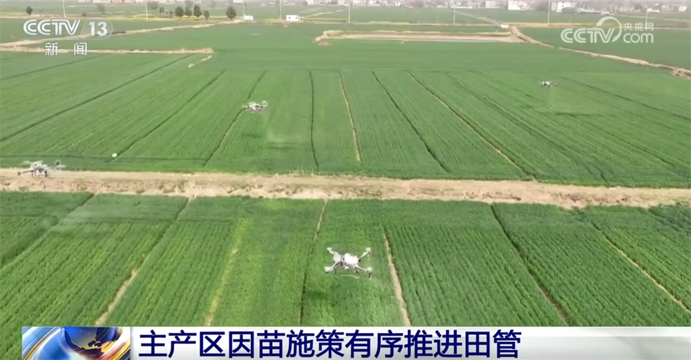 各地因苗施策绘就一幅幅“科技春耕图”全国已春播粮食超3500万亩(图1)